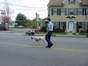Filename=newton_04.jpg
Filesize=56KiB
Dimensions=640x480
Date added=Jul 31, 2014 newton_04.jpg